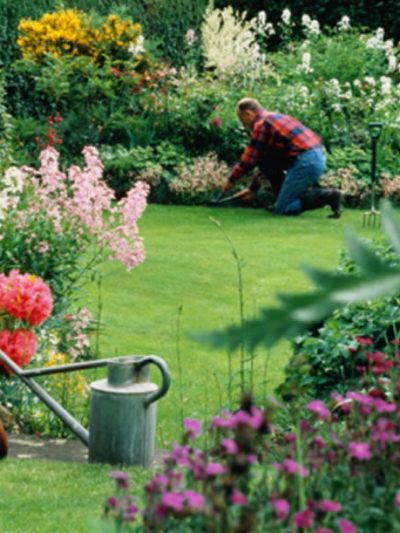 Flores & Jardinería